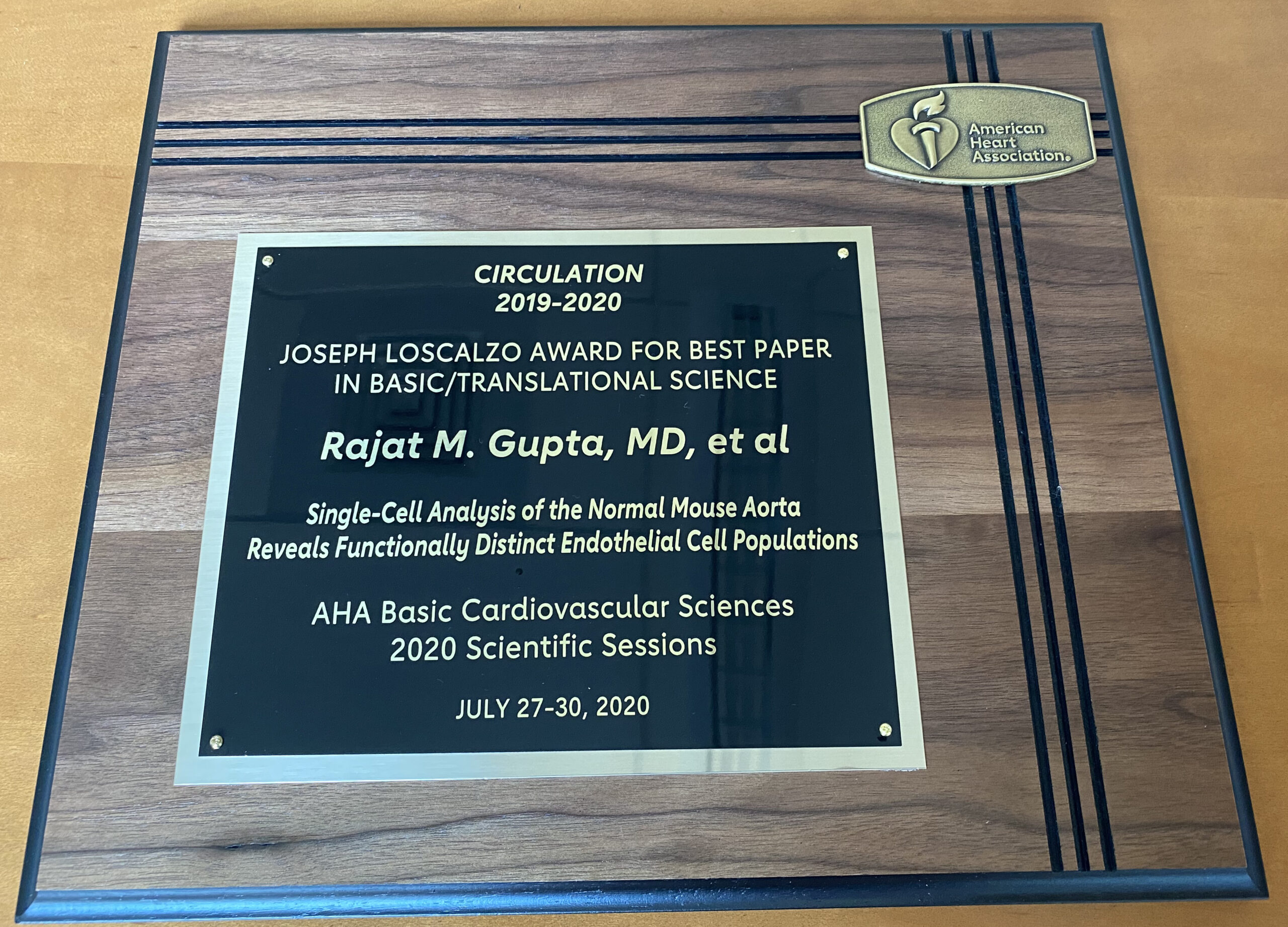 Gupta Lab Awarded 2020 Circulation Loscalzo Award For Best Basic Science Paper